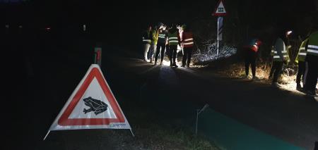 4 Utrinki s preteklih akcij prenašanja dvoživk preko ceste.